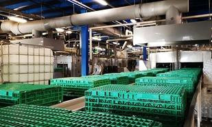 ils studienfahrt gebindecenter 310