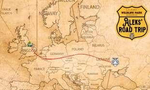 DHL Wildkatzen Tiger Aleks road trip 310